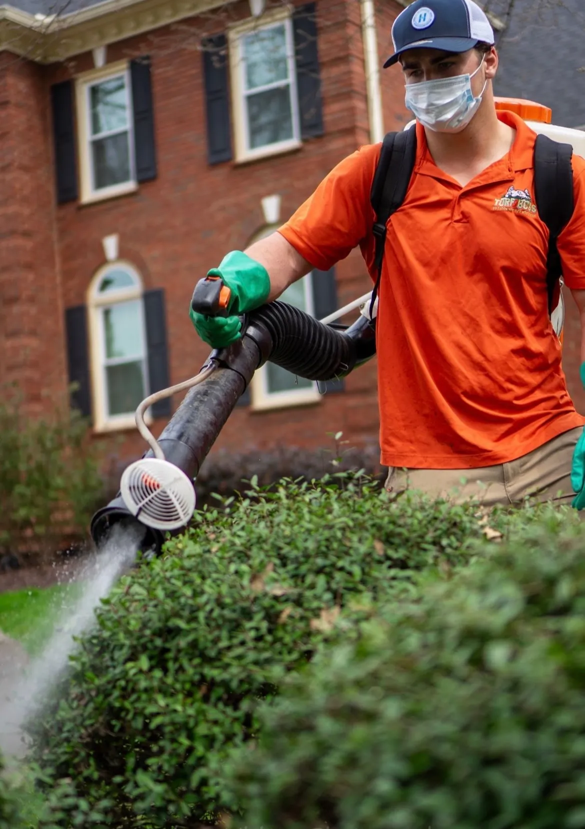 fertilization-1 Person in orange shirt and mask sprays bushes with equipment in front of a brick house.