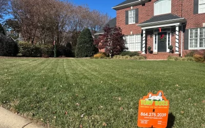 When to Seed and Aerate Zoysia and Bermuda Lawns?
