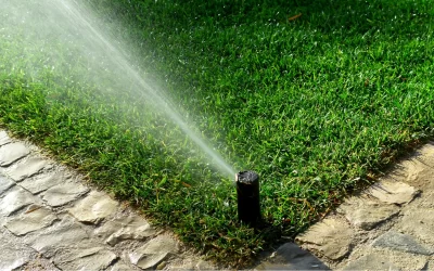 Can pressure washing kill my lawn?