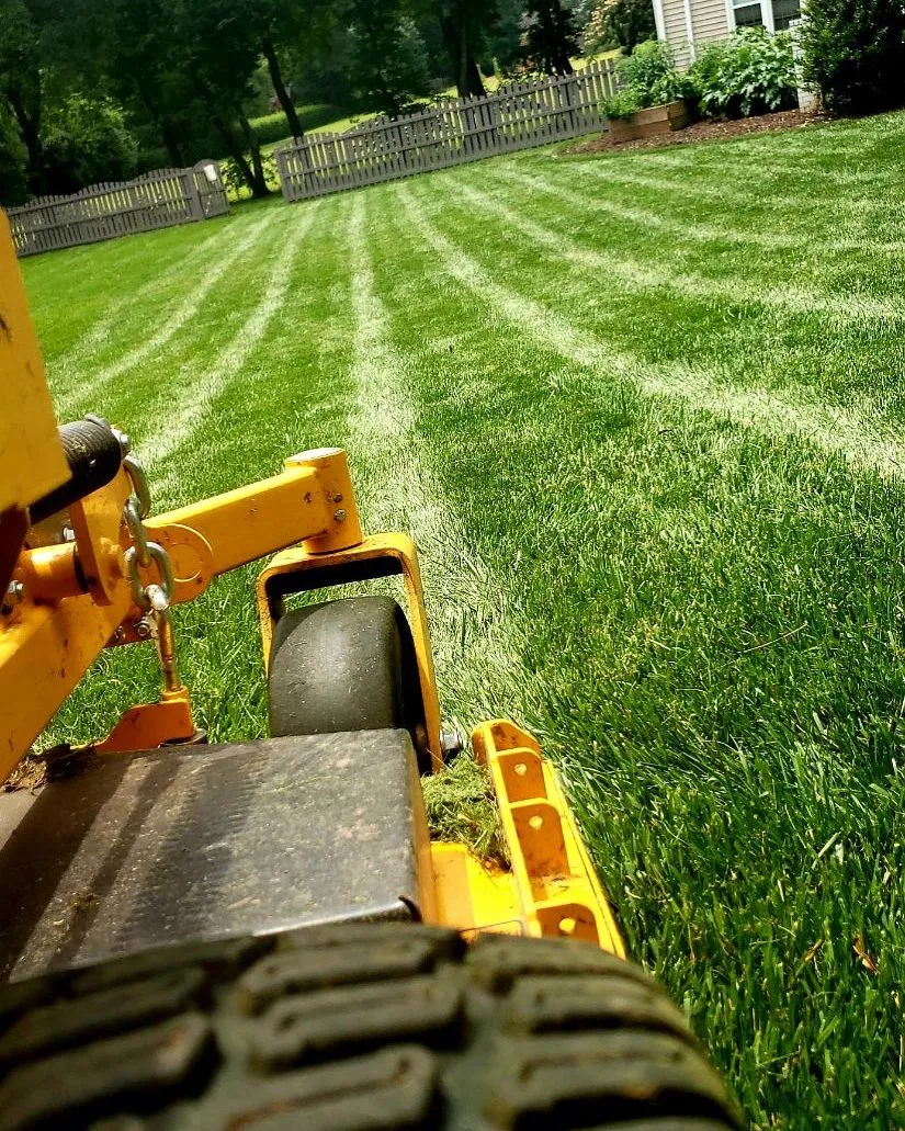 lawncare-4 A close-up of a lawn mower cutting grass, leaving striped patterns on a green lawn in a backyard.