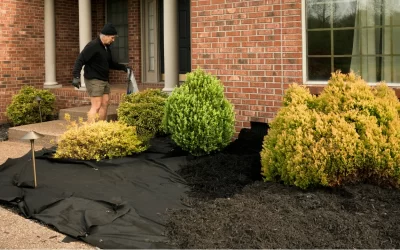 Best Time to Mulch- Fall or Spring?