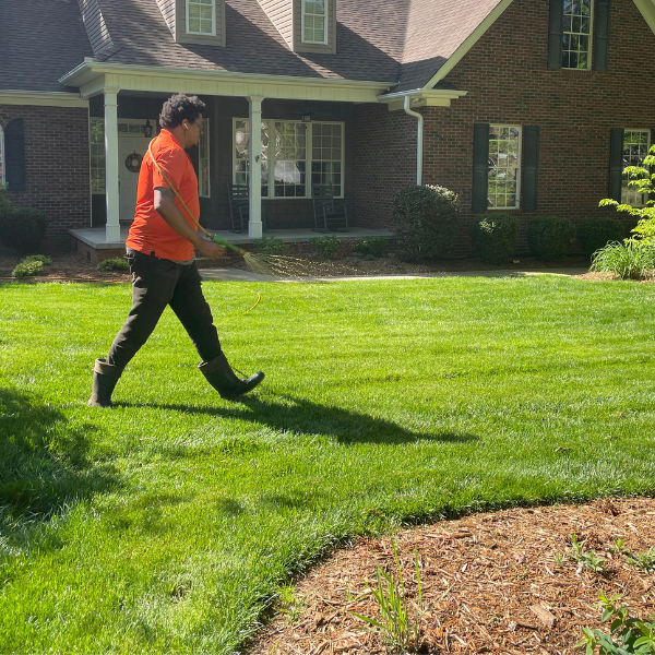 Person in orange shirt sprays lawn care treatment on green grass in front of a brick house on a sunny day.