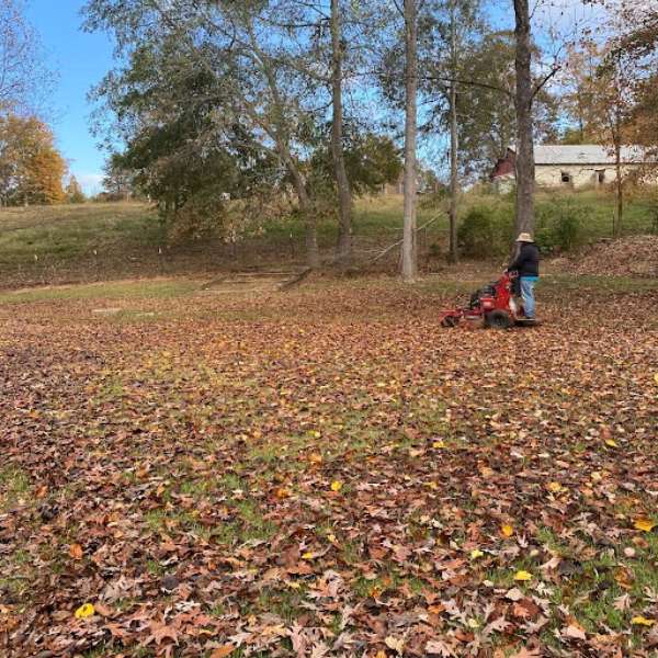 A person uses a leaf blower in a yard covered with autumn leaves, surrounded by trees and a house.