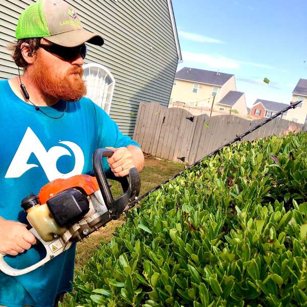 Man with a beard uses a gas-powered hedge trimmer to trim green bushes in a suburban yard.